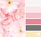 blush Archives | Page 11 of 21 | Design Seeds