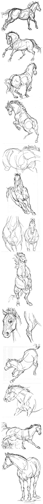 Sharpie Sketches - Horses by ColossalBeltloop
