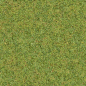 Textures.com - Grass0130 : Textures for 3D, Graphic Design and Photoshop 15 Free downloads every day!