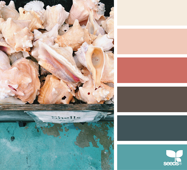 { shell hues }