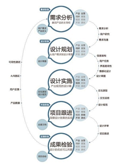 宏亮♀采集到规范流程