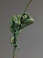 ART - Nick Bibby - tree frog