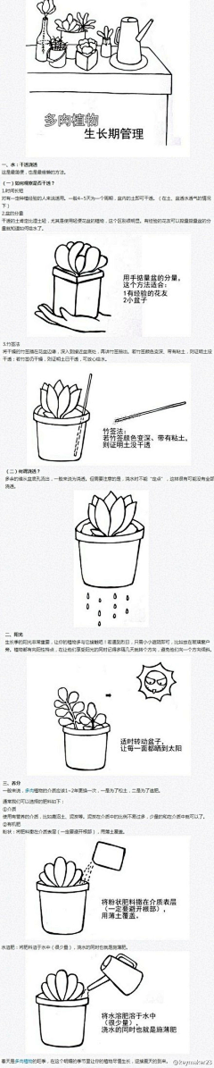 橘子ylscy采集到多肉