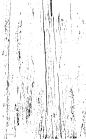 木板树纹材质纹理 (17)