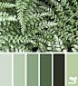 Design Seeds : Design Seeds color palettes ... posted daily for all who love color.