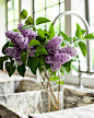 decorating with flowers, they make all the difference, Design Chic: 