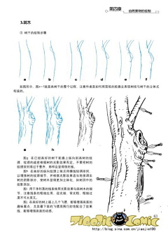 左·湘安采集到教程