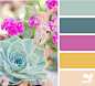 potted hues