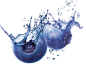 蓝莓PNG