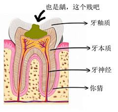 aljt采集到Medical.医学