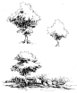 景源手绘创意营的树木风景类线稿作品12 - 老泥鳅素描论坛 http://www.laoniqiu.com #素描#