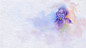浓郁紫色花朵背景图片