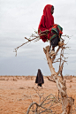 munan15:

Somali girl