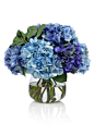 白色,装饰物,花束,自然,影棚拍摄_170043780_Blue hydrangea bouquet_创意图片_Getty Images China