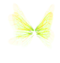 儿童话小精灵仙女透明蜻蜓蝴蝶翅膀PNG免抠图影楼后期设计PS素材