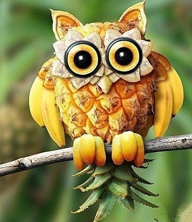 【菠萝、香蕉的组合】如此的有趣小猫头鹰，...