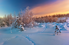 -瑞雪兆丰年-采集到照片素材一一雪景，冰