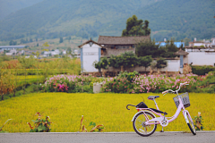 兔甲*~采集到景