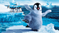 fantastic happy feet wallpaper 23281