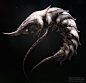 Deepshrimp, Dominic Qwek : Creature done for my Massive Black Workshop 2013.