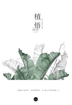 小關采集到插画－花卉