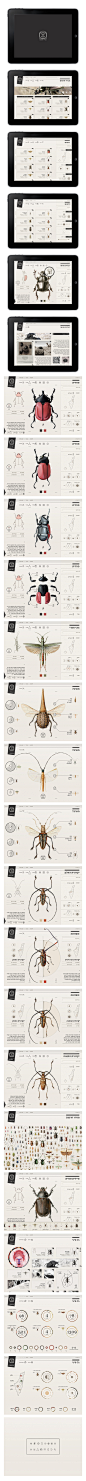 Insect Definer on Behance