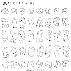 贝吉他采集到【人体】解剖-速写结构-绘画体型