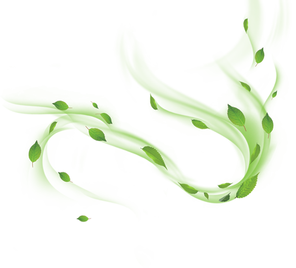 绿色的叶子漂浮悬浮PNG (1)