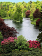 The lake at the beautiful Stourhead garden, Wiltshire - England ~ larger than it looks here!