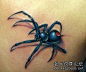 背部彩色蜘蛛纹身图案