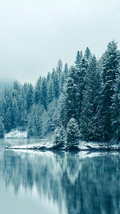 美丽人生2019采集到美景（冰雪）