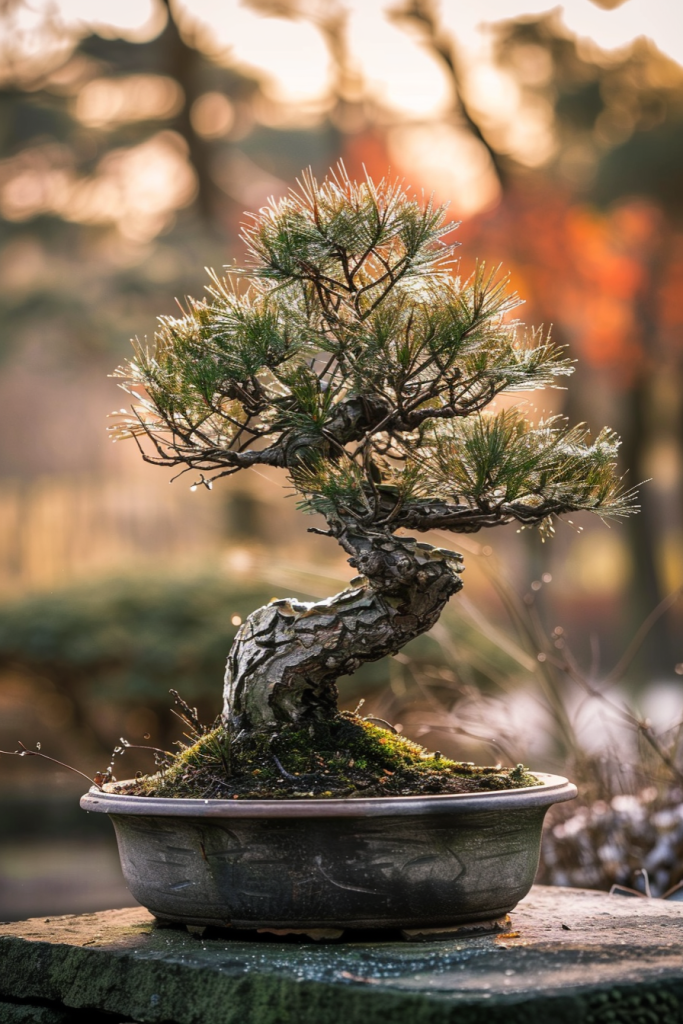 365c5b34314f791d5b6d45a2292c61f059c3f7e9135182-XA07K8