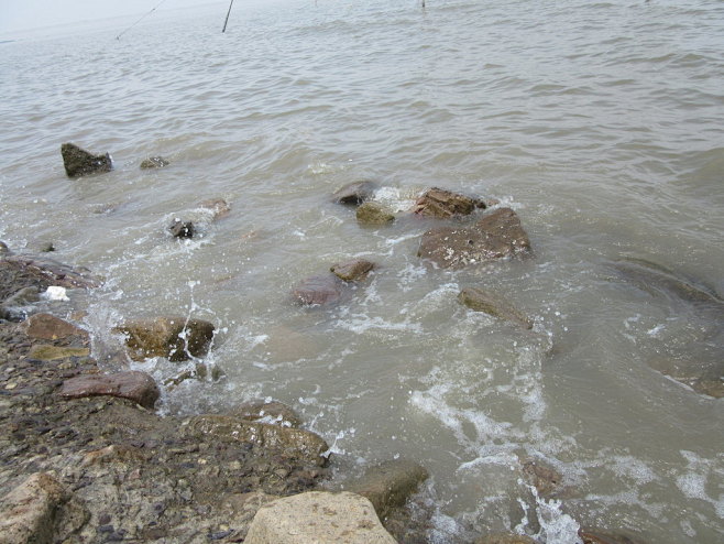 周末自驾去看海，驰骋海堤闻海韵