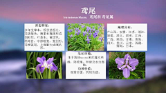 水歌歌采集到植物习性