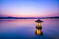 Hangzhou West Lake night by wang yao