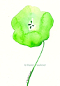 Spring Green Flower watercolor giclee fine art by karenfaulknerart