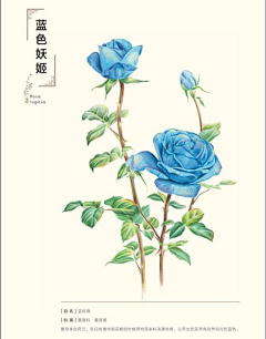 duo米采集到彩铅画