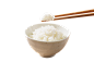 米饭 五谷  PNG素材