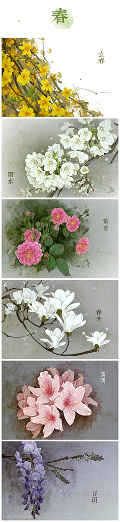 风风-彭采集到插画和花卉