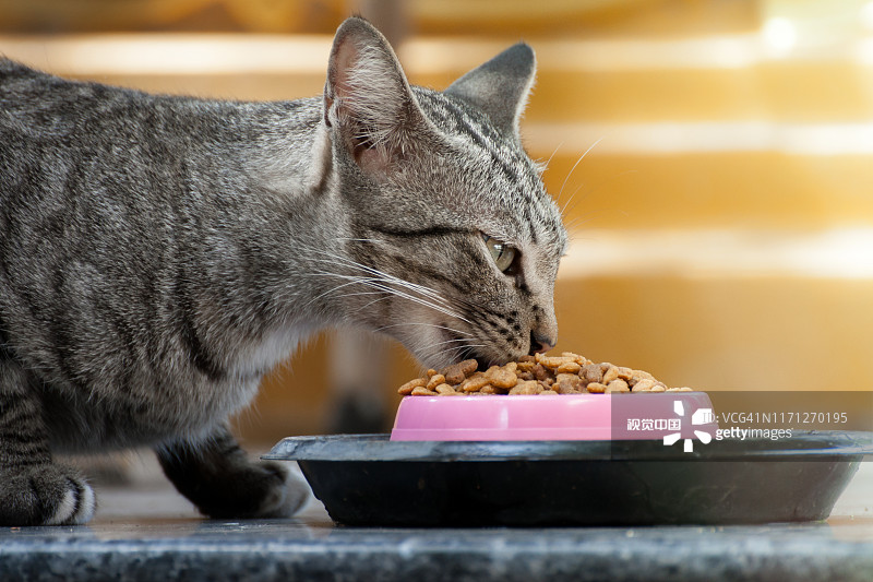 36a392e1761e30e22e3743ed0fe5d33e8c69adbe22d9c-IszSlV