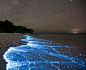 Bioluminescent Phytoplankton, Vaadhoo Island