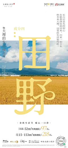 张小沉沉采集到字体