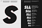 Behance 上的 SLL Brand Identity Renewal