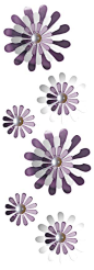 Purple Daisy Mirrors: 