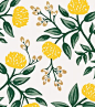 Rifle Paper Co wallpaper: Peonies Yellow