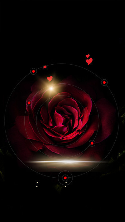 黑色玫瑰光影梦幻商业H5背景素材，来自爱...
