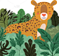 猎豹,景象,热带雨林,野生植物,可爱的,清新,野生动物,环境,公园,动物