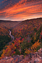  黑水峡谷的秋色。西弗吉尼亚州，美国