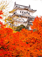 姬路城位于日本兵库县姬路市，于其白色的外墙和蜿蜒屋檐造型犹如展翅欲飞的白鹭，因而也被称为白鹭城，是世界文化遗产。