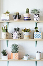 Een kijkje in de cute urban jungle kast van Londense designer Lizzie van Islington Design District. // via What Olivia Did